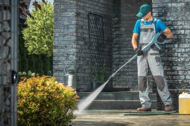 Best Roof Cleaning and Mildew Removal in Victoria, TX